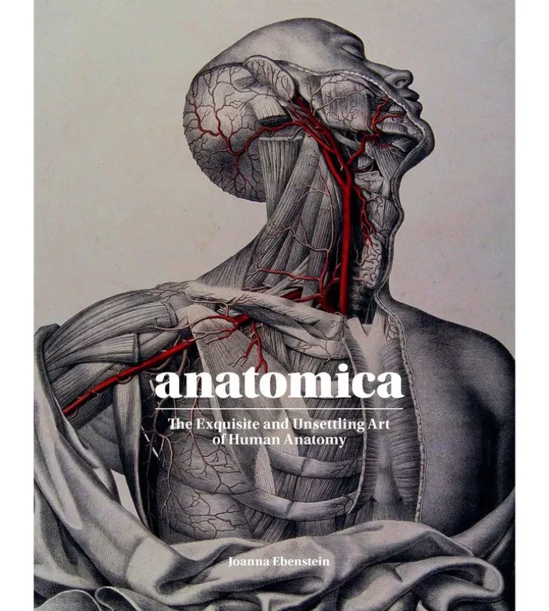 Anatomica, The Exquisite and Unsettling Art of Human Anatomy