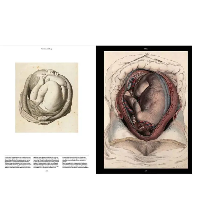 Anatomica, The Exquisite and Unsettling Art of Human Anatomy