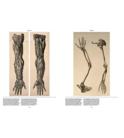 Anatomica, The Exquisite and Unsettling Art of Human Anatomy