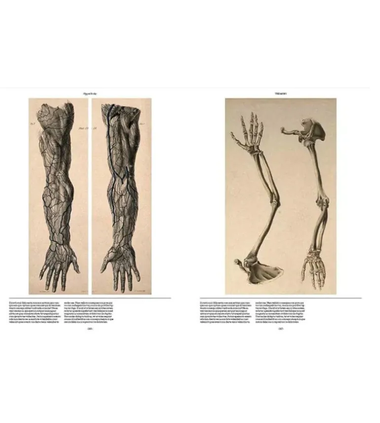 Anatomica, The Exquisite and Unsettling Art of Human Anatomy