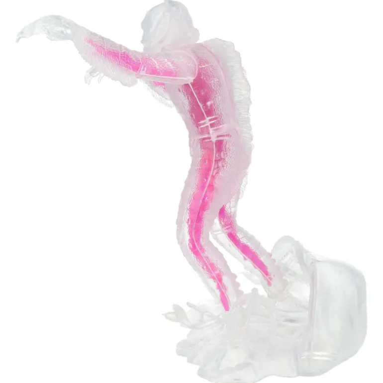 Creature from the Black Lagoon (clear) - Model Kit