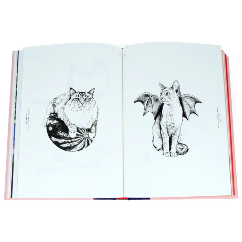 Felinity : An Anthology of Cat Illustration from around the World