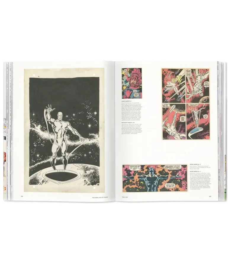 L'ère des comics Marvel 1961-1978 40th Anniversary Edition