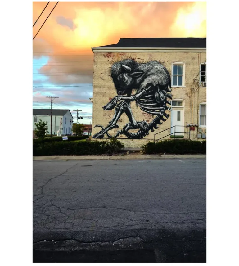 ROA - CODEX