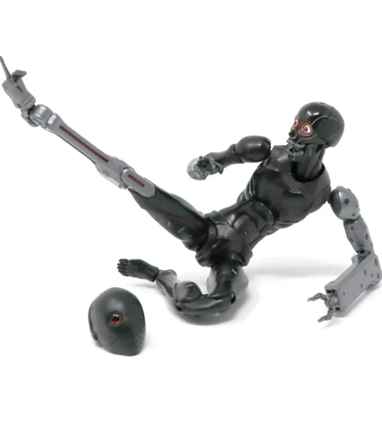 TOA Heavy Industries - 1/6 Anti CaRB and Reprogrammed Body